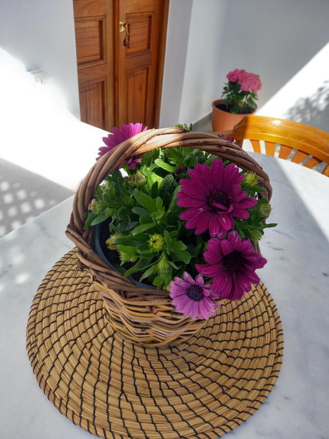 Patmos Little Suites Skála Eksteriør bilde